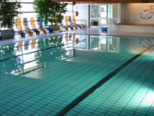 Brigittenauer Bad Becken