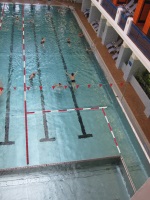 Babyschwimen - Jörgerstraße - Schwimmbecken